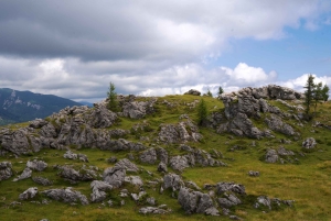 Au départ de Ljubljana : excursion à Velika Planina avec repas et photos