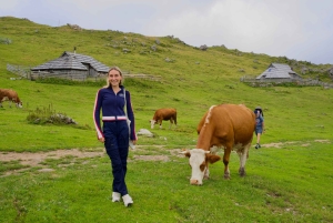 Au départ de Ljubljana : excursion à Velika Planina avec repas et photos
