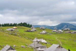 Au départ de Ljubljana : excursion à Velika Planina avec repas et photos