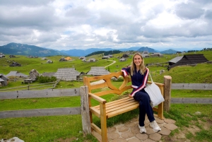Au départ de Ljubljana : excursion à Velika Planina avec repas et photos