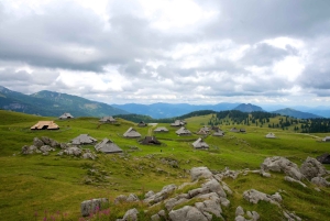 Au départ de Ljubljana : excursion à Velika Planina avec repas et photos