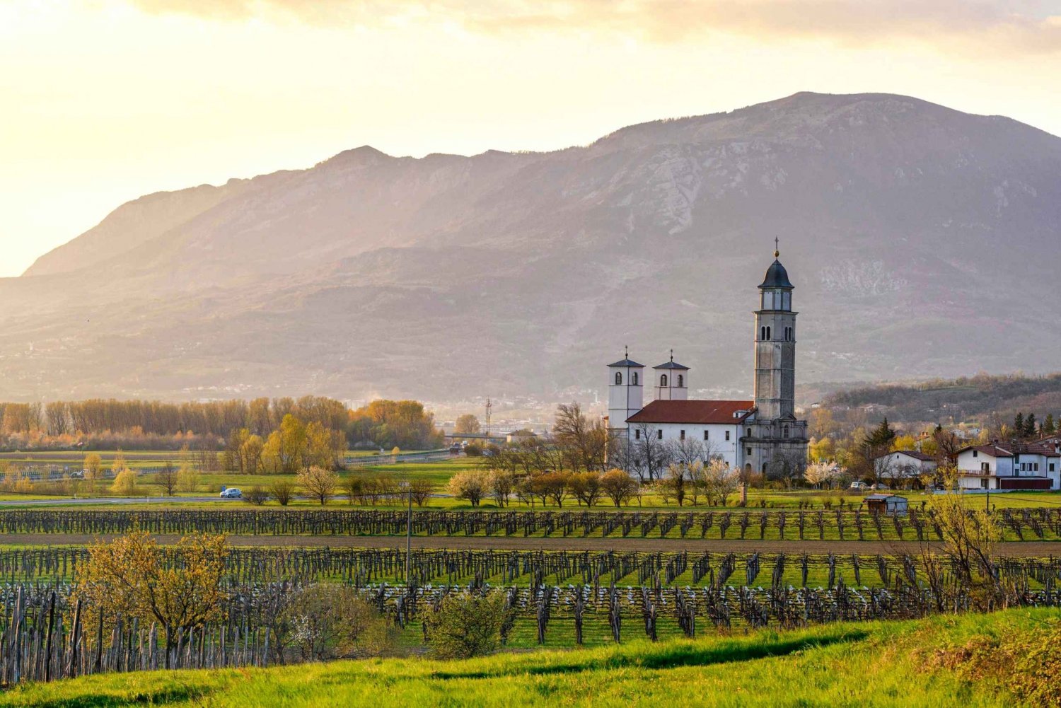 From Ljubljana: Vipava Valley Wine Express Tour