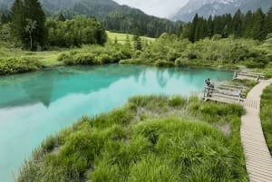 From Ljubljana: West Triglav National Park