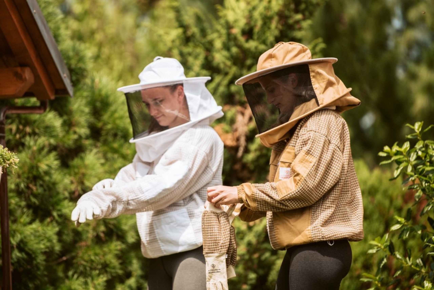 Ljubljanasta: Wild About Bees