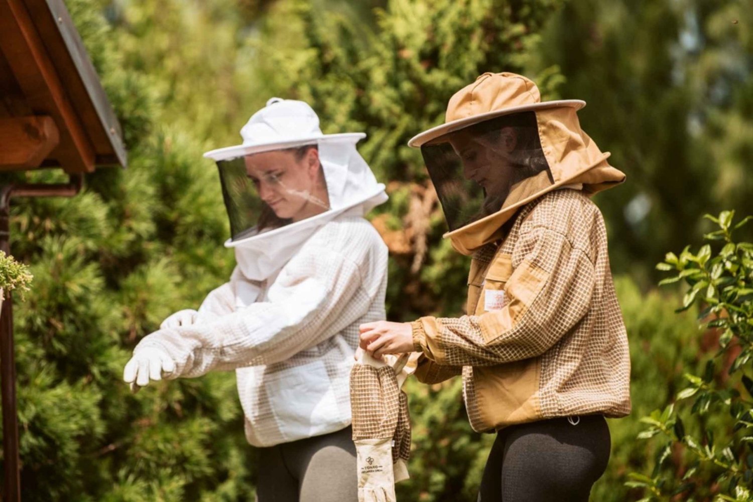 Aus Ljubljana: Wild über Bienen