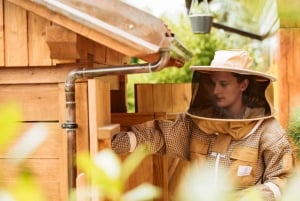 From Ljubljana: All About Bees