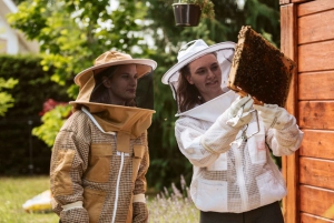 From Ljubljana: All About Bees