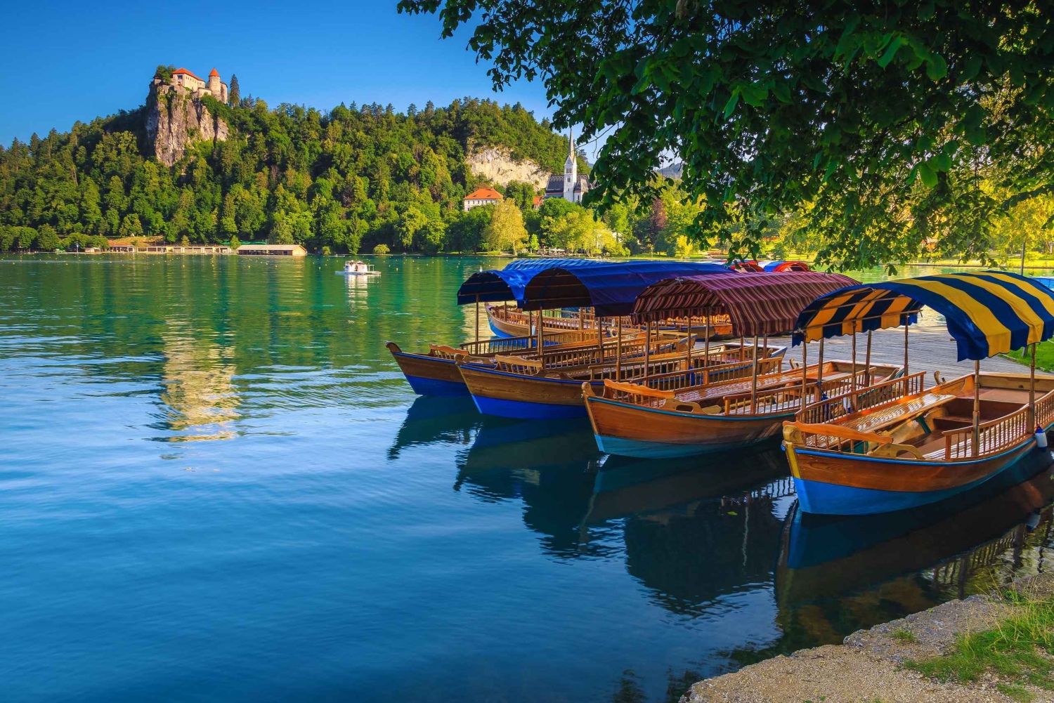 Ljubljanasta: Alppien ympärivuotiset ihmeet (Bled ja sen ympäristö)