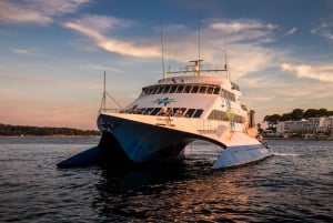 Vanuit Piran: Venetië Catamaran overtocht enkele reis of retour
