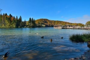 Ze Splitu lub Trogiru: wycieczka z przewodnikiem po Jeziorach Plitwickich