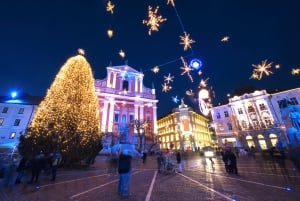 トリエステ発：リュブリャナとクリスマスの魔法 - ガイド付きツアーバス