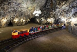 トリエステ発：ポストイナ洞窟とプレドジャマ城ツアー