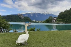 De Zagreb: viagem de um dia ao Lago Bled e Ljubljana
