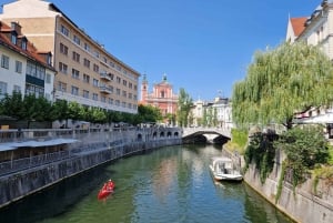 From Zagreb: Exclusive private Day Tour to Bled & Ljubljana