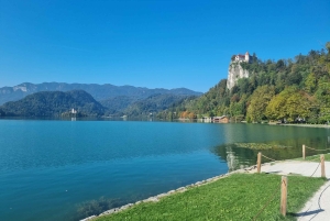 Z Zagrzebia: Ekskluzywna prywatna jednodniowa wycieczka do Bled i Lublany