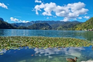 Z Zagrzebia: Ekskluzywna prywatna jednodniowa wycieczka do Bled i Lublany