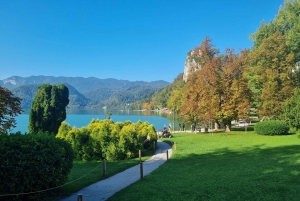 Z Zagrzebia: Ekskluzywna prywatna jednodniowa wycieczka do Bled i Lublany