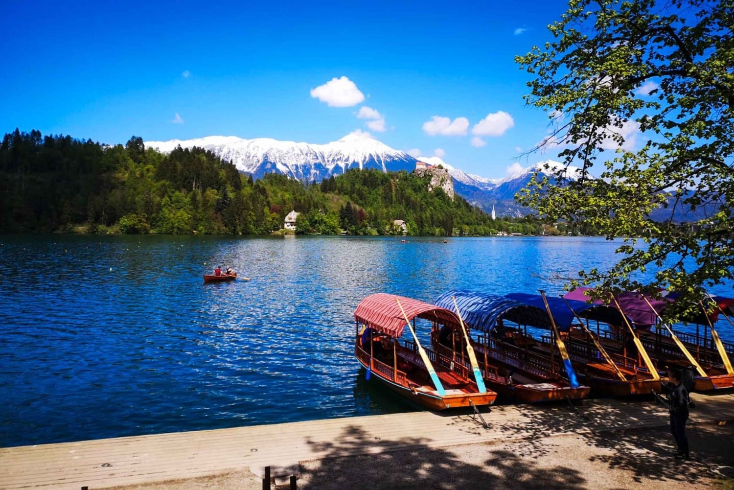 Z Zagrzebia: wycieczka 1-dniowa nad jezioro Bled, Bohinj i wodospad Savica