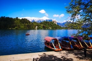 Von Zagreb: Bleder See, Bohinj & Savica-Wasserfall – Tagestour