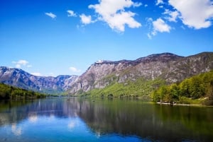 Z Zagrzebia: wycieczka 1-dniowa nad jezioro Bled, Bohinj i wodospad Savica
