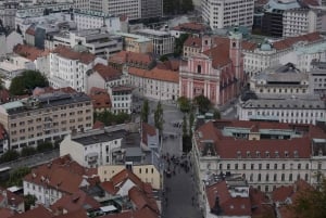 Från Zagreb: Postojna-grottan, Bledsjön & Ljubljana - Privat