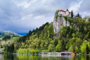 Fra Zagreb: Postojna-grotten, Bled, tur til Ljubljana