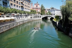 Från Zagreb: Privat resa från Zagreb till Postojna Cave, Bled och Ljubljana
