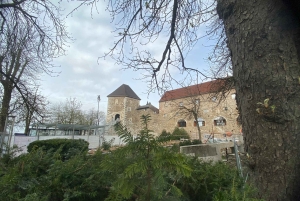 ザグレブ発：リュブリャナ、ブレッド湖と城のプライベートツアー