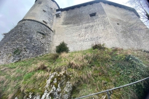 ザグレブ発：リュブリャナ、ブレッド湖と城のプライベートツアー