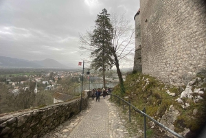 ザグレブ発：リュブリャナ、ブレッド湖と城のプライベートツアー