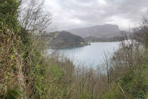 ザグレブ発：リュブリャナ、ブレッド湖と城のプライベートツアー