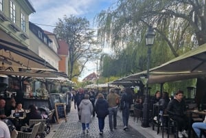 From Zagreb: Ljubljana and Lake Bled Private Day Tour