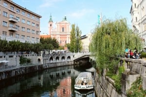 Excursión Privada de un Día por lo Mejor de Eslovenia desde Zagreb