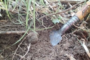 Gažon - Istria : Excursion de recherche de truffes en Slovénie