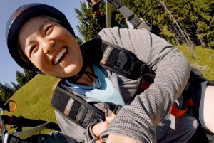 Golte Mozirje & Logarska Slovenien: Tandemparagliding