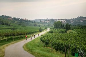 Goriška brda: Tour de E-Bike com guia local