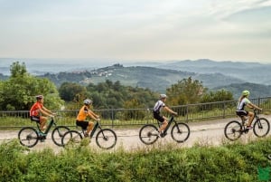 Goriška brda: Tour in E-Bike con guida locale