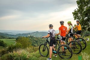 Goriška brda: Tour de E-Bike com guia local