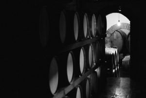 Goriška brda: Vinsmaking Brda