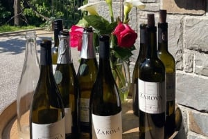 Goriška brda: Weinverkostung Brda
