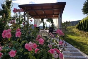 Goriška Brda: Wine Tasting with Local Snacks