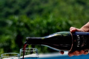 Goriška Brda: Wine Tasting with Local Snacks