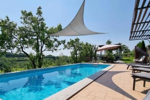 Goriška Brda: Wine Tasting with Local Snacks