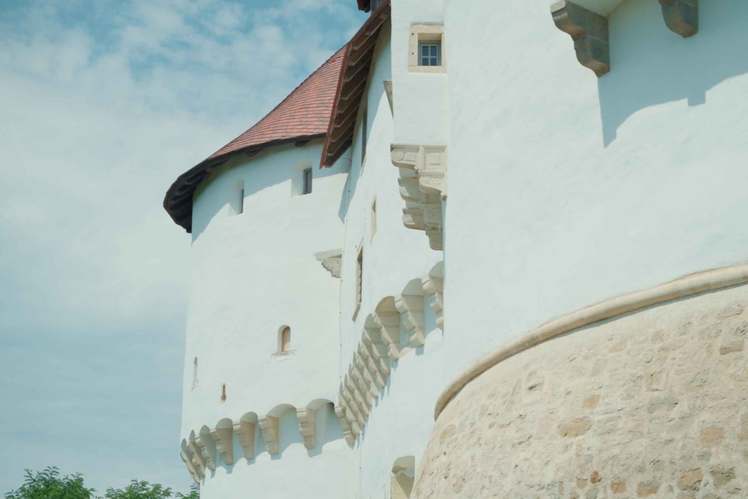 Explorez la frontière verte : visite en vélo électrique avec châteaux et collations