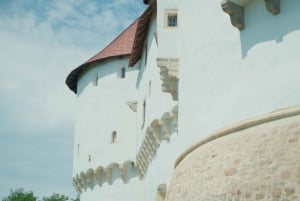 Explorez la frontière verte : visite en vélo électrique avec châteaux et collations