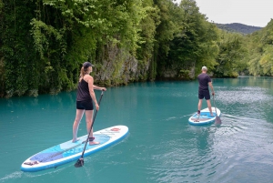 Half Day Stand-up Paddle Boarding on the Soča River