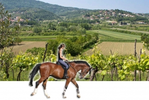 Istria: Horses and Vineyards