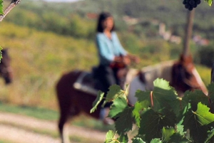 Istria: Horses and Vineyards