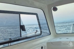Izola: passeio de barco particular a Strunjan e Piran com bebidas