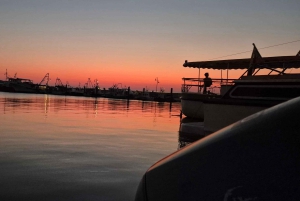 Izola: rejs wycieczkowy łodzią do Strunjan i Piranu z napojami